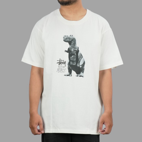Stussy Big Meaty T-shirt Stüssy Big Meaty Ls Tee