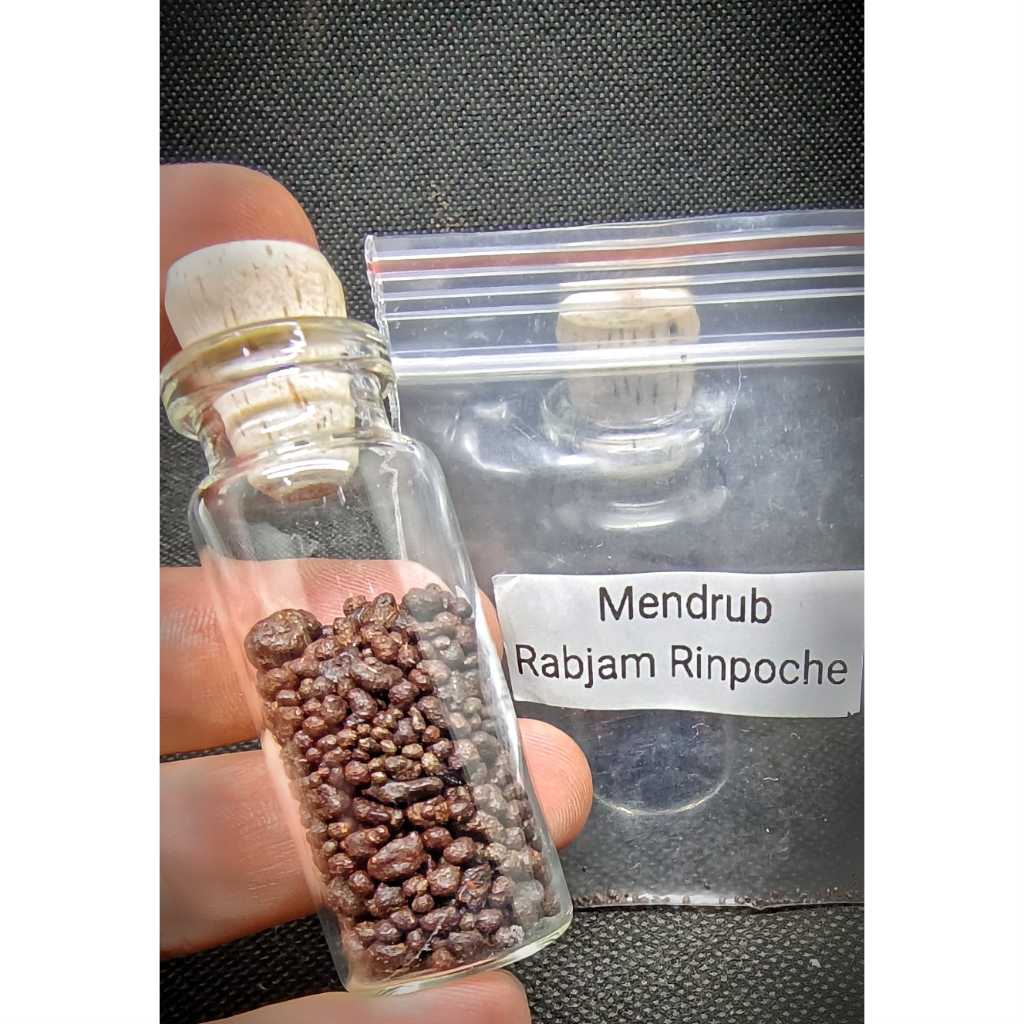 Jual Mendrub Pill Shechen Rabjam Rinpoche | Shopee Indonesia