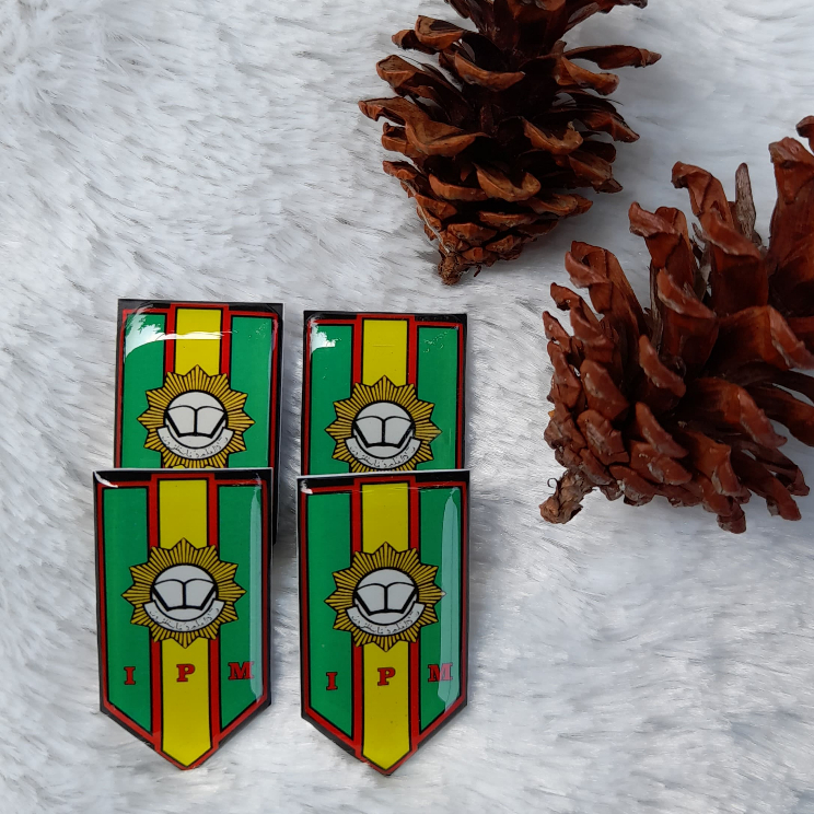 Jual PIN IPM / PIN RESIN IPM / PIN CUSTOM / PIN RESIN CUSTOM ( Free ...