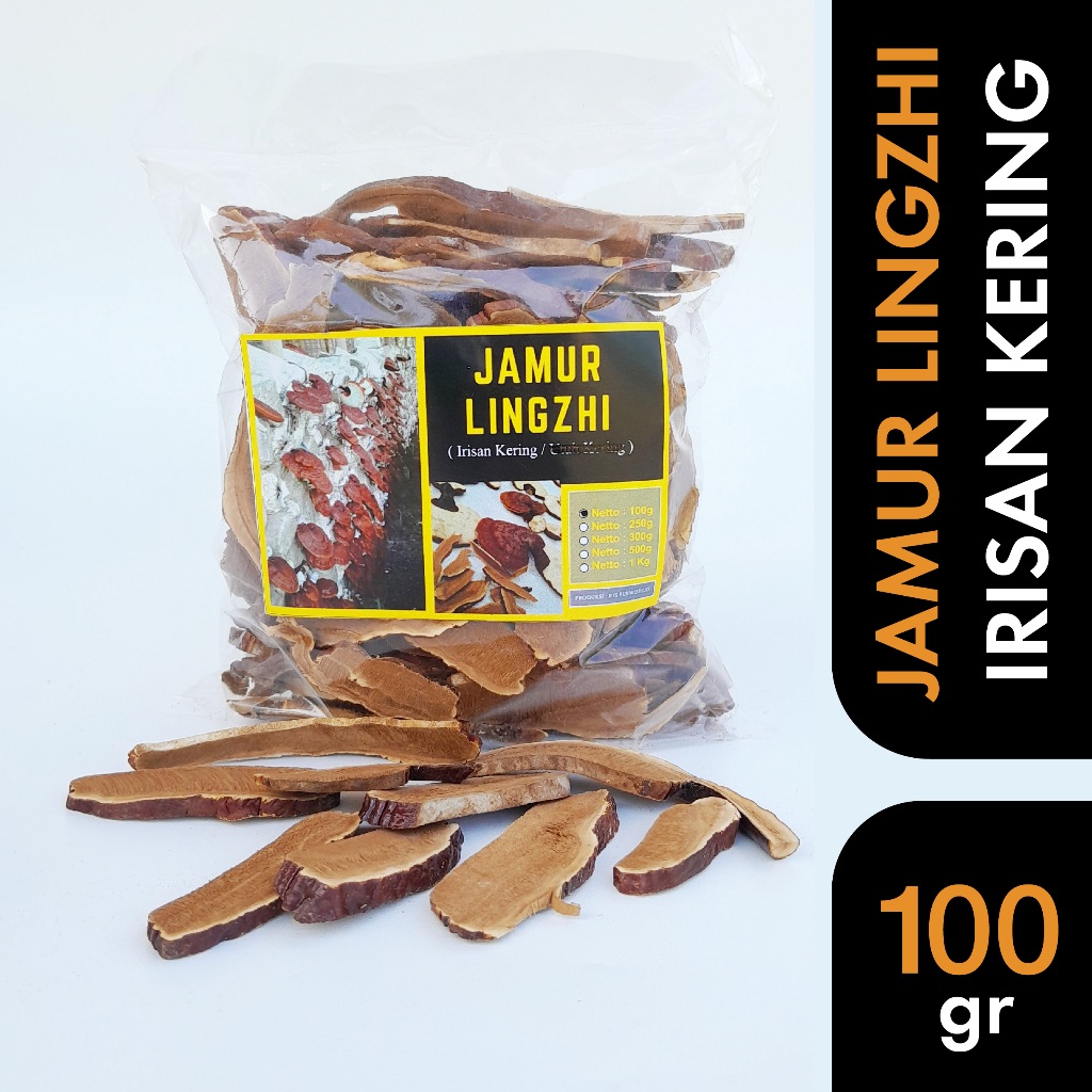 Jual Jamur Lingzhi Ling Zhi Ganoderma Lucidum Kering 100 gram Shopee