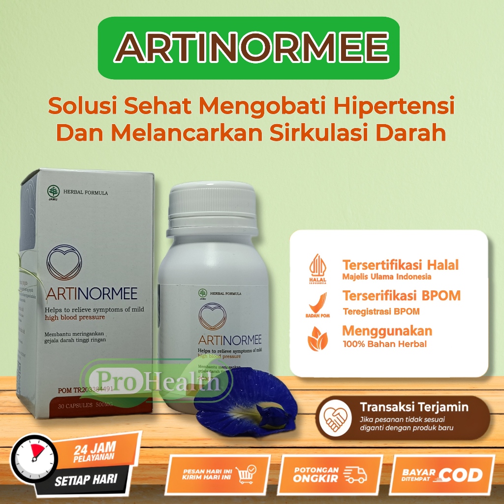 Jual Artinormee Asli Original Obat Herbal Hipertensi Darah Tinggi