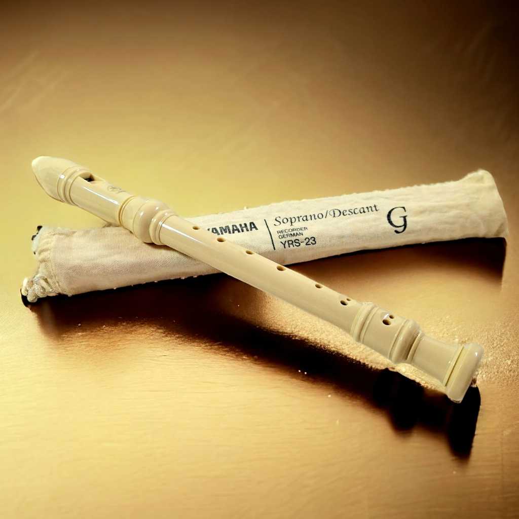 Jual Seruling - Alat Musik Tiup Suling Soprano Descant Recorder Flute ...