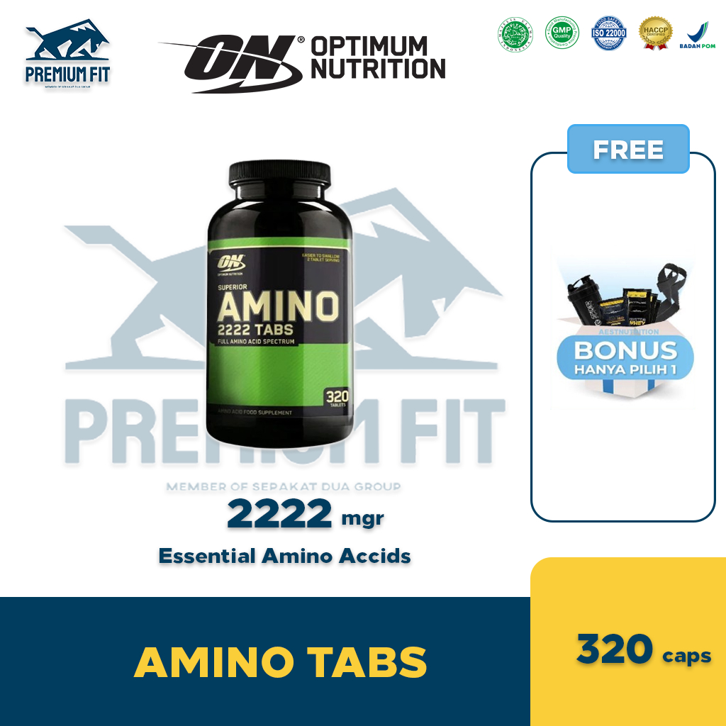 Jual Optimum Nutrition Amino 2222 320 Tablet | Shopee Indonesia