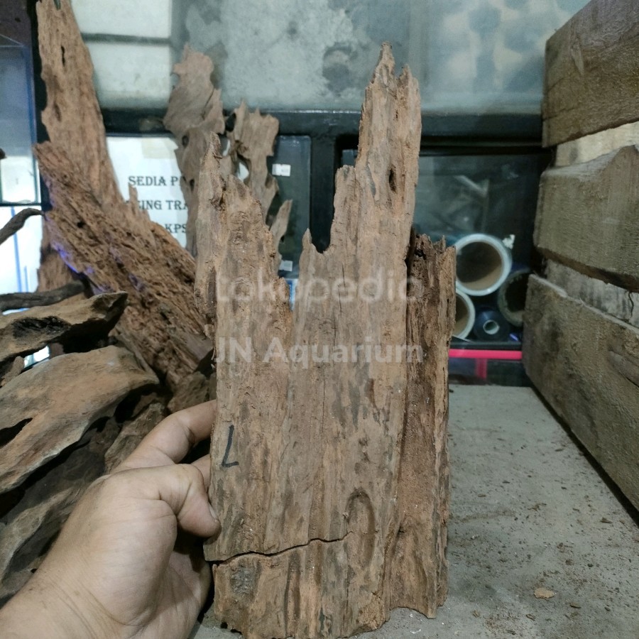 Jual Akar Rentek Hiasan Aquarium Aquascape Uk. L | Shopee Indonesia