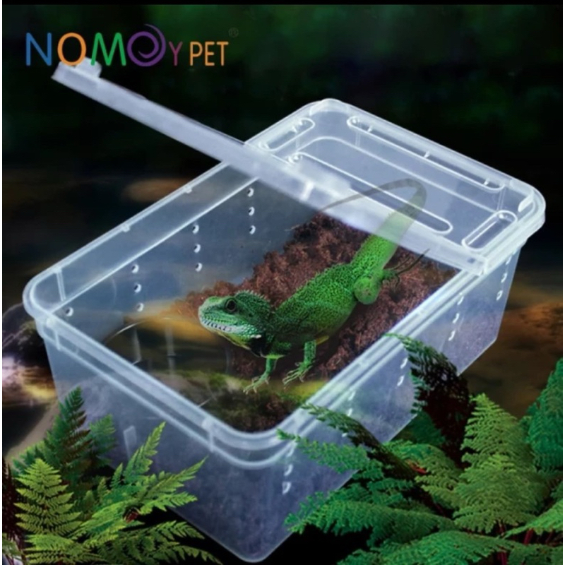 Jual NOMOY H4 MEDIUM BOX PLASTIK KANDANG REPTIL NOMOYPET GECKO COLUBRID ...