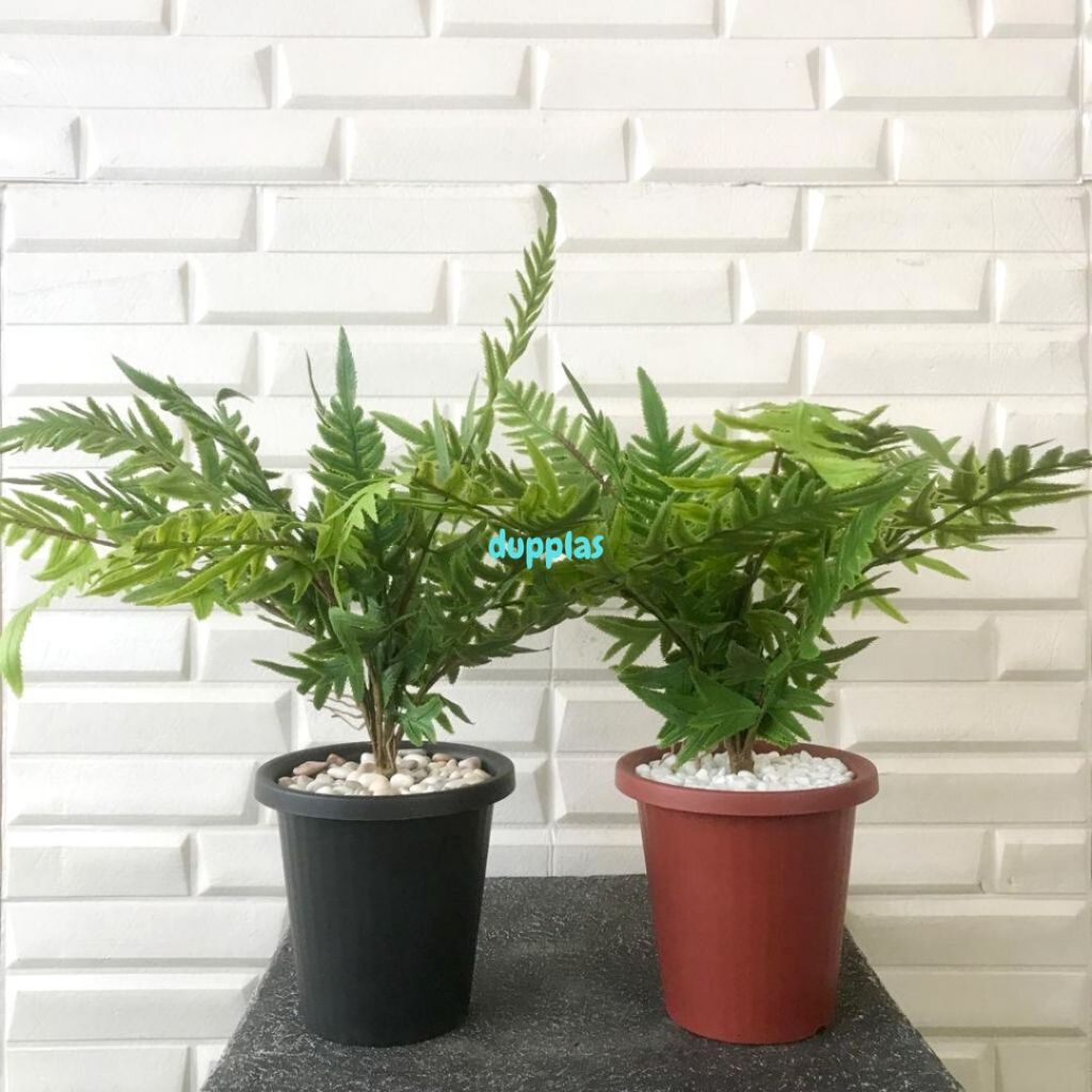 Jual Pohon Artifiicial Daun Pakis Latex Mini Pot Yogaf Hitam & Coklat ...