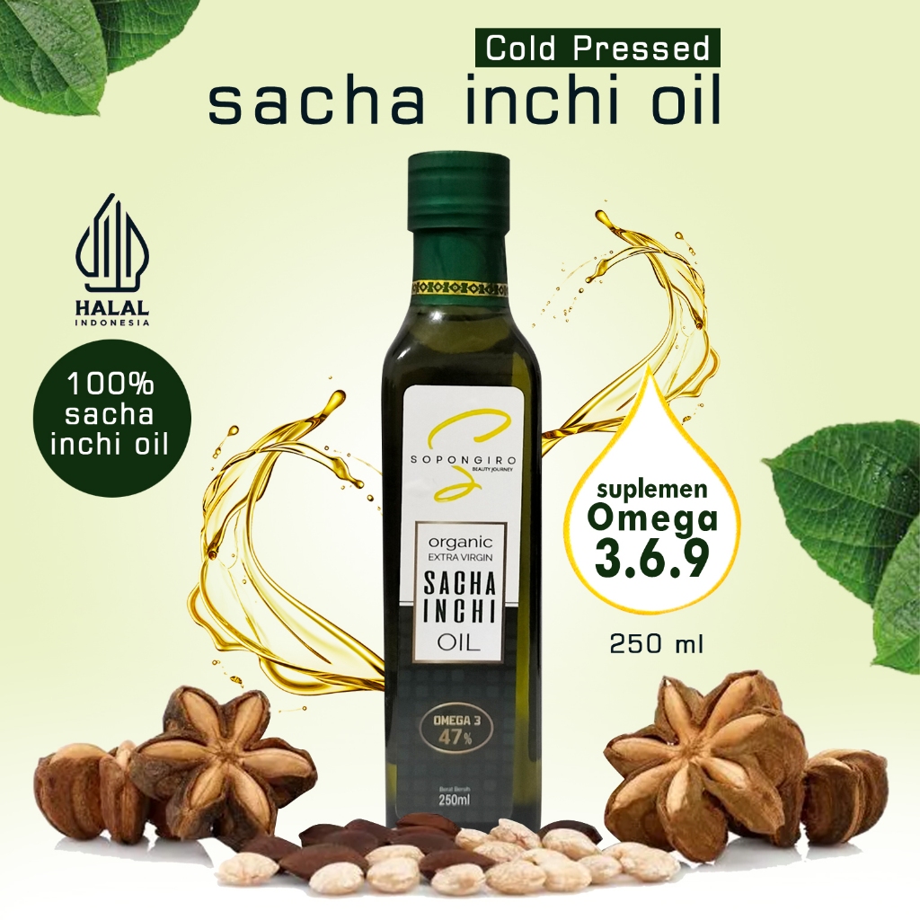 Jual Minyak sacha inchi murni kacang sacha inchi omega 3 6 9 sacha oil