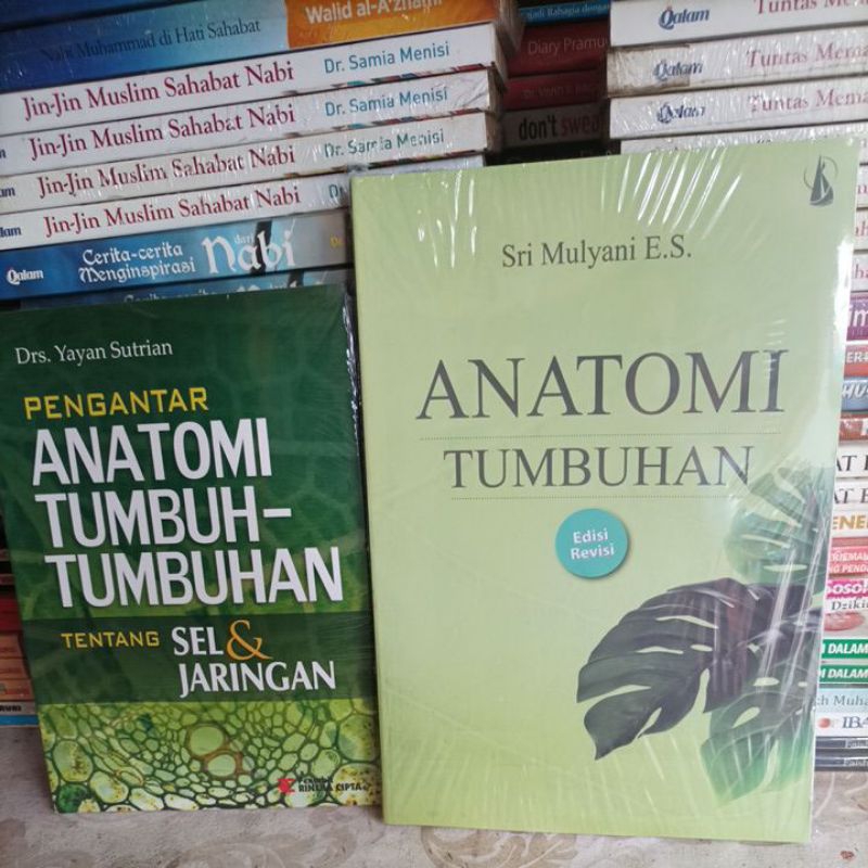 Jual Buku Pengantar ANATOMI TUMBUHAN Edisi Revisi Oleh Sri Mulyani E.S ...