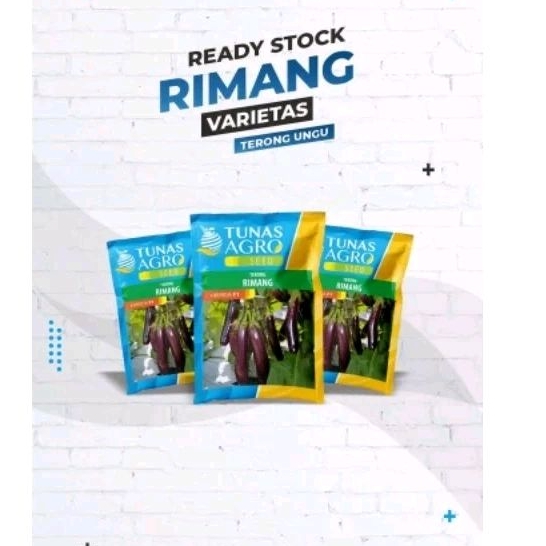 Jual BENIH TERONG UNGU RIMANG F1 TAHAN VIRUS 10 gr | Shopee Indonesia