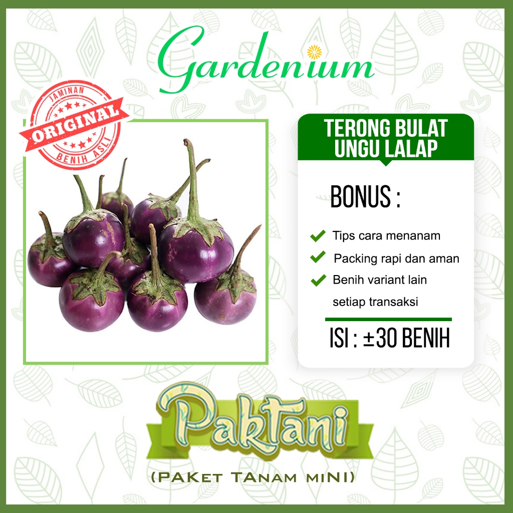 30 Benih Terong Bulat Ungu Lalap Paktani