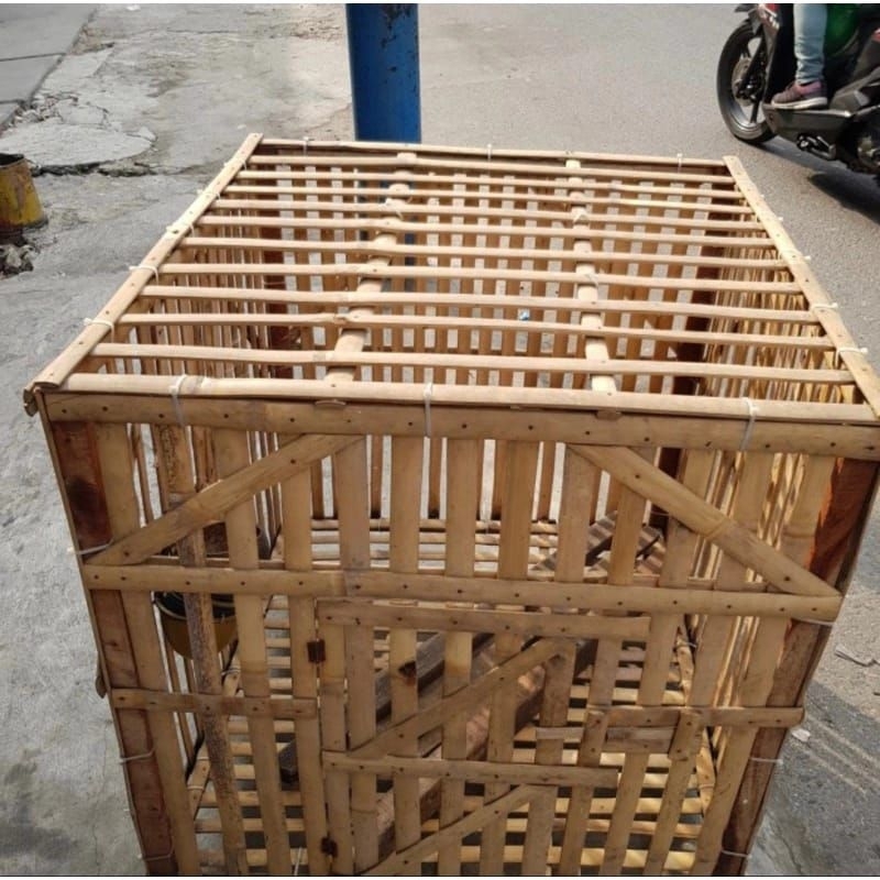 Jual kandang ayam bambu rakit ukuran 70x70 | Shopee Indonesia