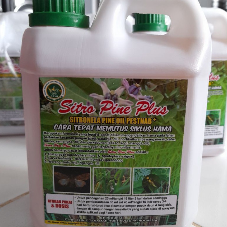 Jual Harga Obral Sitro Pine Plus CTHI 1L Home Industri IL | Shopee ...