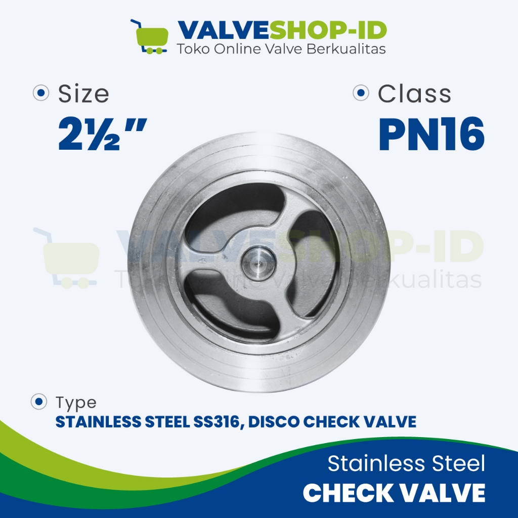 Jual DIsco Check Valve DN65 2 1/2