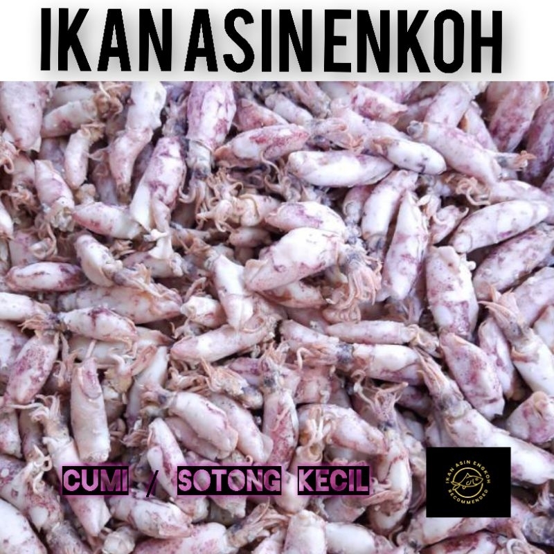 Jual Ikan Asin Cumi Rebus Sotong Gr Kg Shopee Indonesia