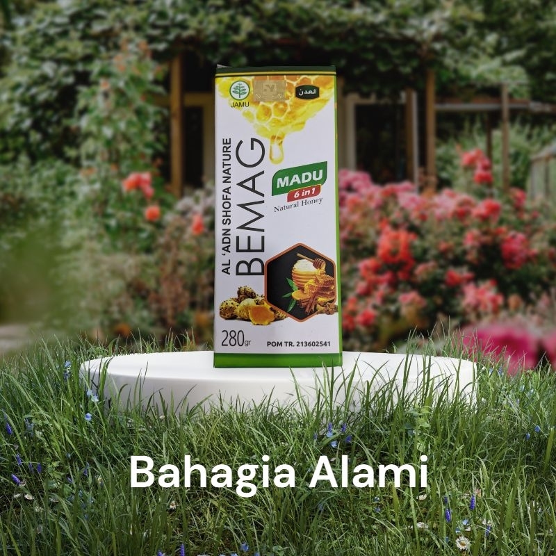 Jual Madu Bemag - bebas Maag, Gerd, Asam Lambung | Shopee Indonesia