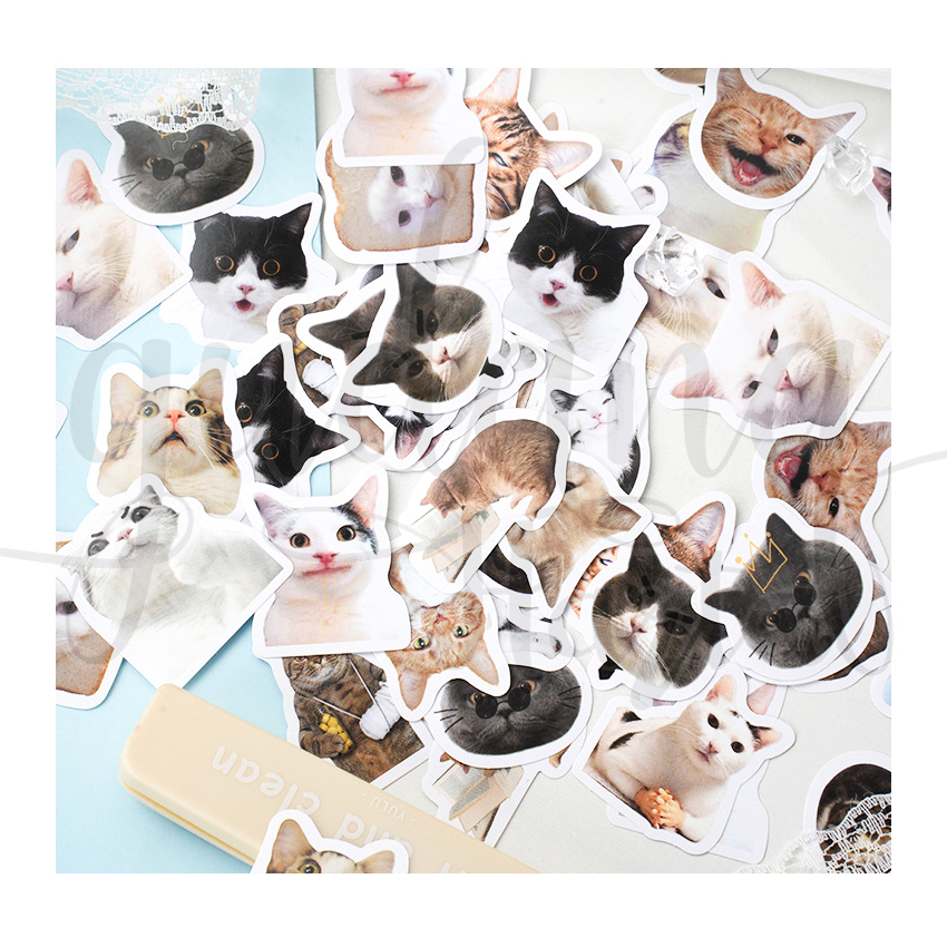 Jual Stiker Model Majikan Kucing Sticker Motif Cat Lucu Simple DIY ...