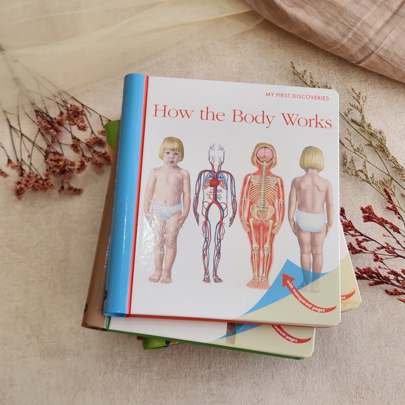 Jual Mfd How The Body Works My First Discovery Book Original Shopee Indonesia