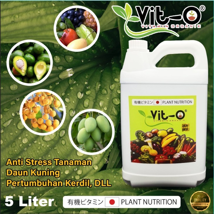 Pupuk vit-o plant nutrition kemasan pabrik 5 liter (5000ml) isi lebih banyak lebih hemat