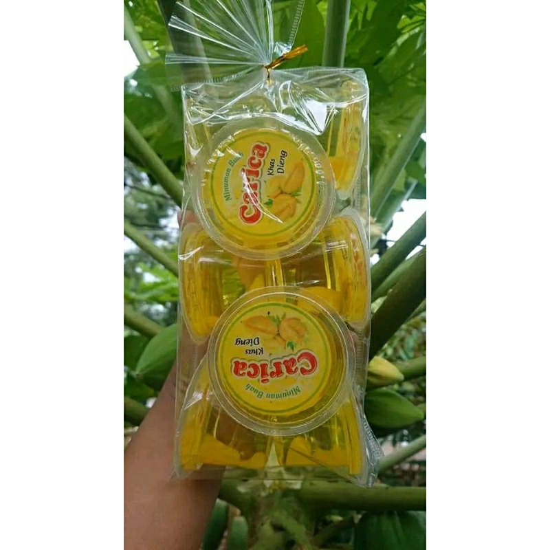 Jual Carica Khas Dieng Wonosobo Isi 6 Cup 100 Gula Asli Minuman Sirup