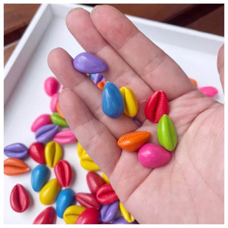 Jual MAINAN SENSORY PLAY ANAK NATURAL DAKON SHELLS KERANG BIJI CONGKLAK ...