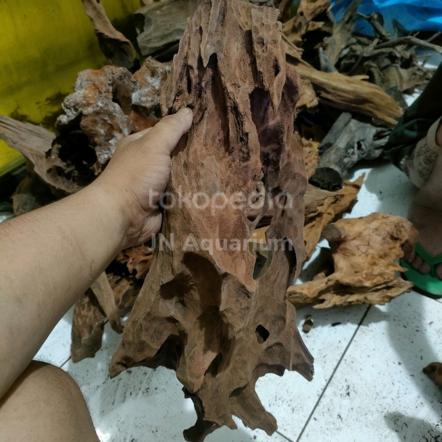 Jual Akar Kayu Rentek Hiasan Aquarium Aquascape Kolam Uk XL | Shopee ...