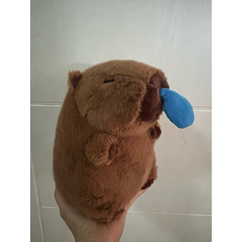 Jual DREAMTOYS96 Boneka Animal Capybara Ingusan Snort Plushie | Shopee ...
