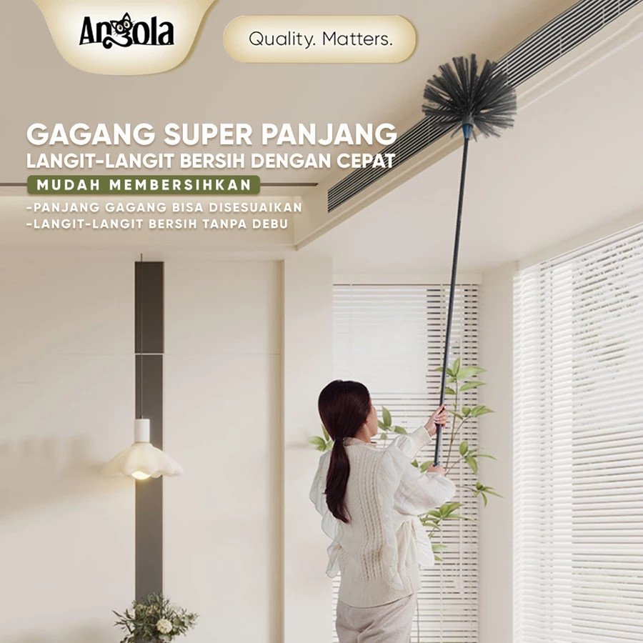 Sapu Pembersih Langit-Langit