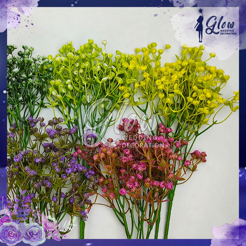 Jual Gypso tangkai panjang Pikok / gypsophilia baby breath - Bunga ...