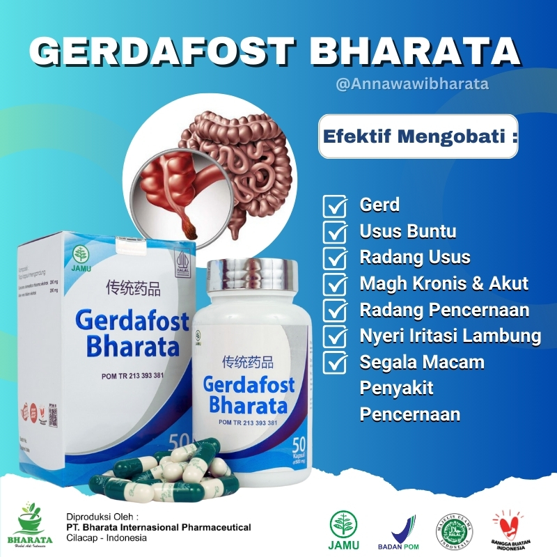 Jual Obat Usus Buntu Ampuh - Obat Radang Usus, Infeksi Usus, Obat Gerd ...