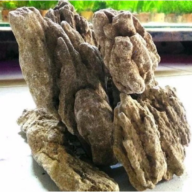 Jual Batu Pasir Aquascape/sand stone Aquascape Aquarium 1kg | Shopee ...