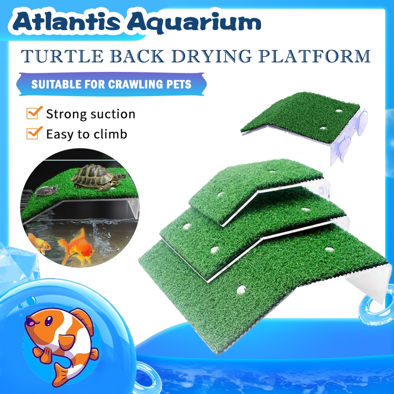 Jual Platform Kura-Kura kurakura aquarium turtle basking island ...