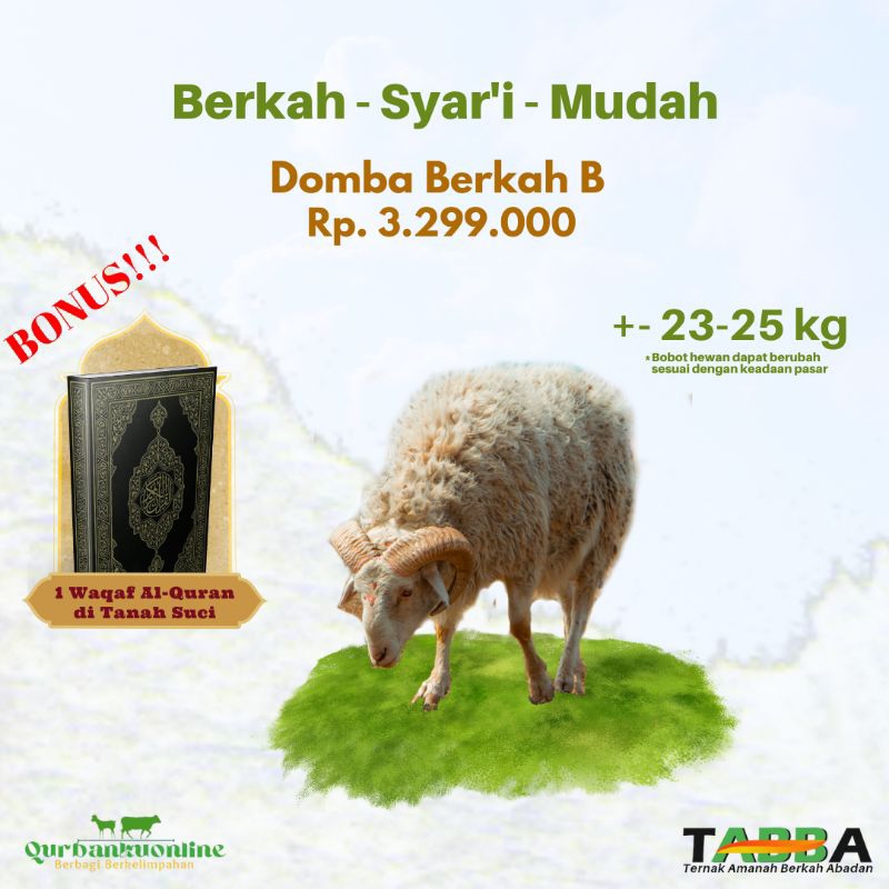 Jual PROMO Domba Qurban Berkah B - Qurbankuonline (Kandang Tabba) 2024 ...