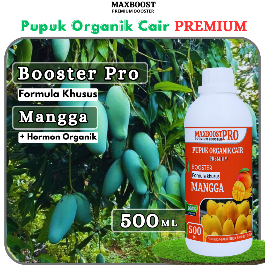 Jual MAXBOOST - Booster Mangga Pupuk Organik Cair Pelebat Tanaman ...