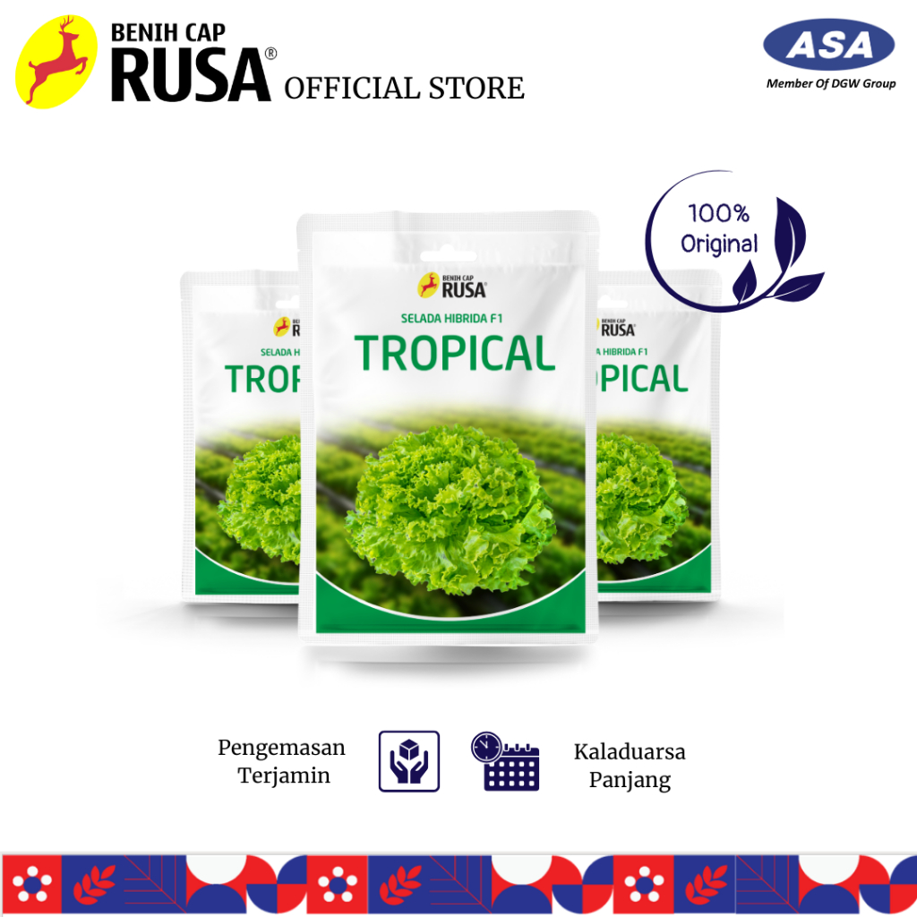Jual Benih Cap Rusa - BENIH BIBIT BIJI SELADA TROPICAL F1 - 10 GRAM ...