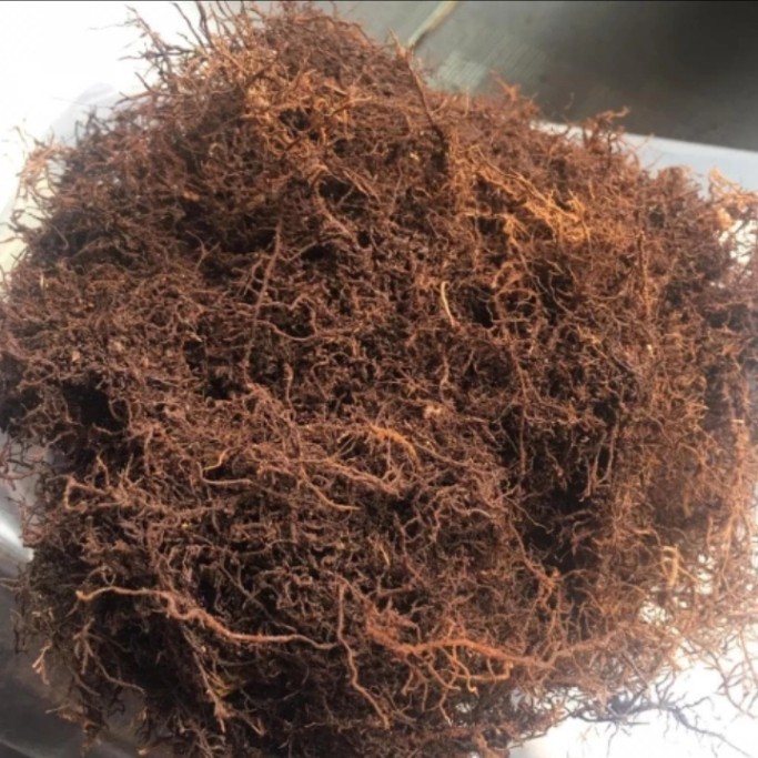 paket hemat media tanam moss hitam (akar kadaka) 5 kg