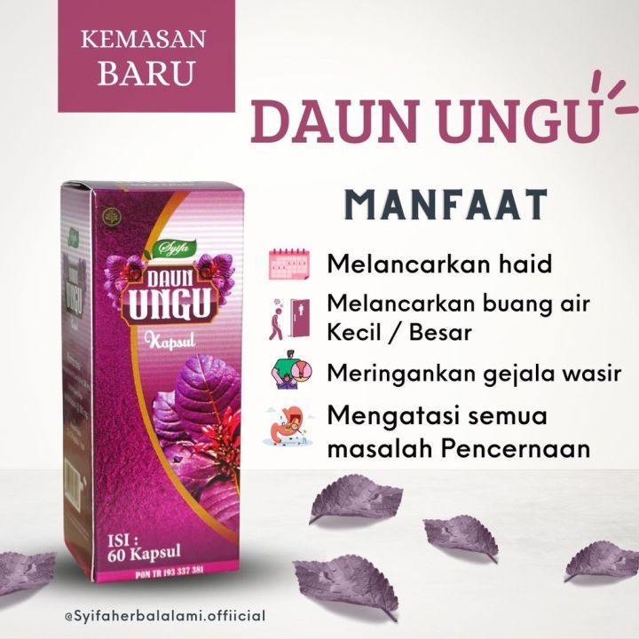 Jual Kapsul Herbal Daun Ungu ORIGINAL BPOM Obat Ambeien Wasir syifa