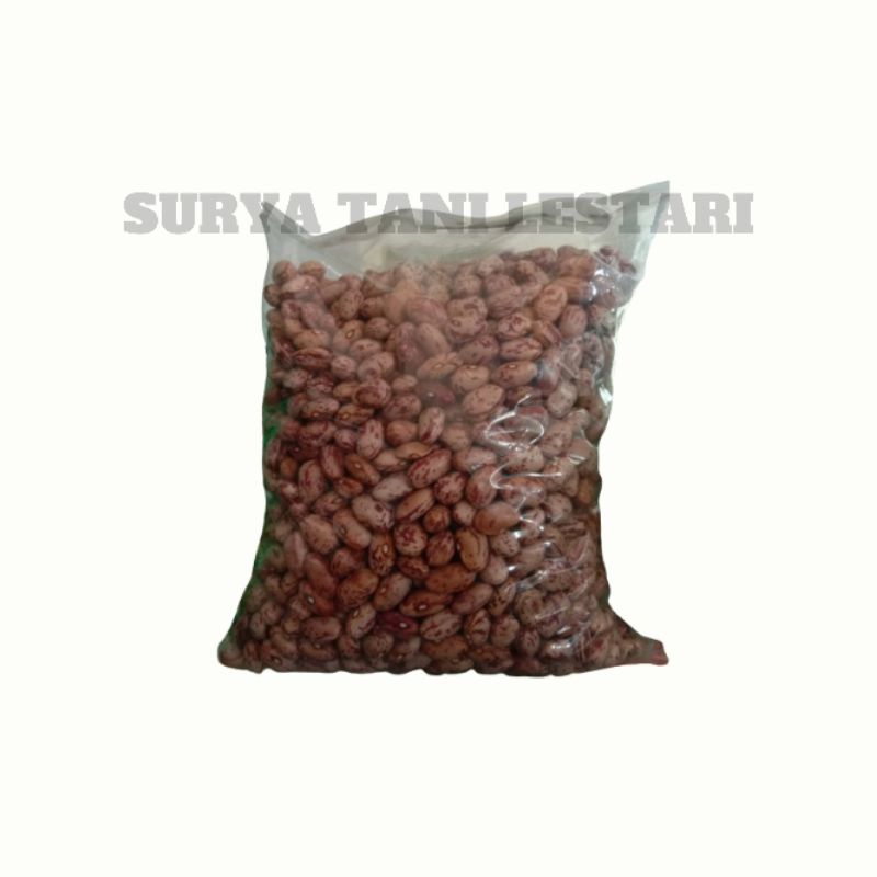 Jual Benih Kacang Endul 1 Kg Lokal Ndul | Shopee Indonesia