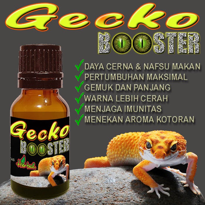 Jual GECKO BOOSTER VITAMIN LEOPARD GECKKO WHEELERI GEKO CRESTED AFT TOKEK MULTIVITAMIN KESEHATAN REPTILE OBAT MENAMBAH NAFSU MAKAN MEMPERCEPAT PERTUMBUHAN MELANCARKAN PENCERNAAN MENINGKATKAN IMUNITAS ...