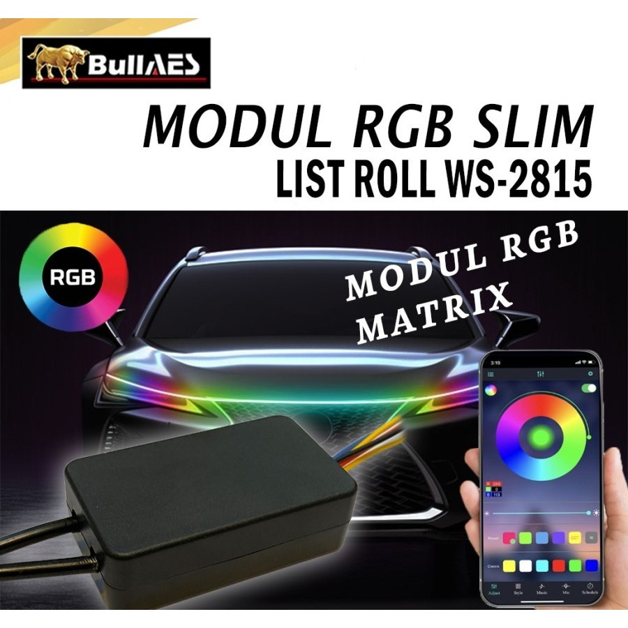 Jual Modul Slim Matrix List Roll RGB WS 2815 Welcome Light Mobil ...