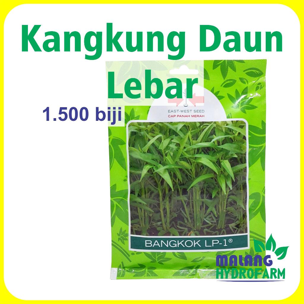 Jual Benih Kangkung Daun Lebar Bangkok LP-1 1500 Biji Cap Panah Merah ...