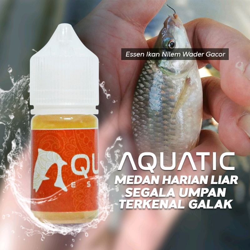 Jual Aquatic Essen Ikan Nilem Liar Dan Kolam Harian Isi 30ml Original