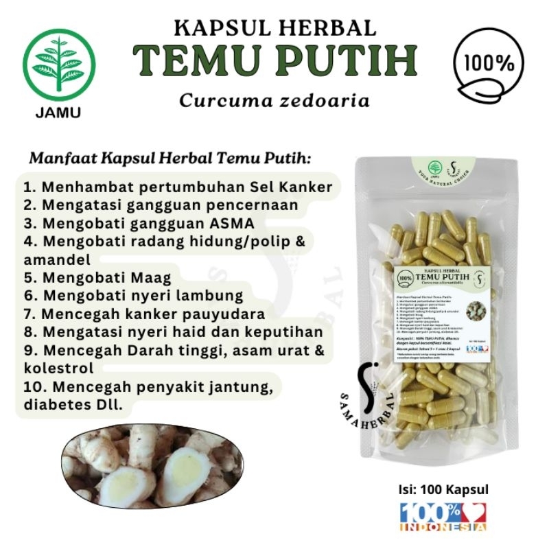 Temu Putih Herbal Capsules 100 Count natural herbal botanical 100 capsules