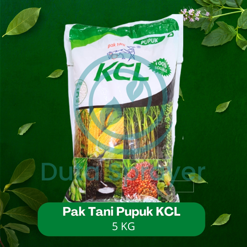 Jual Pupuk KCL Pak Tani 5kg KCL PakTani Kemasan Original 5 Kg Shopee Indonesia