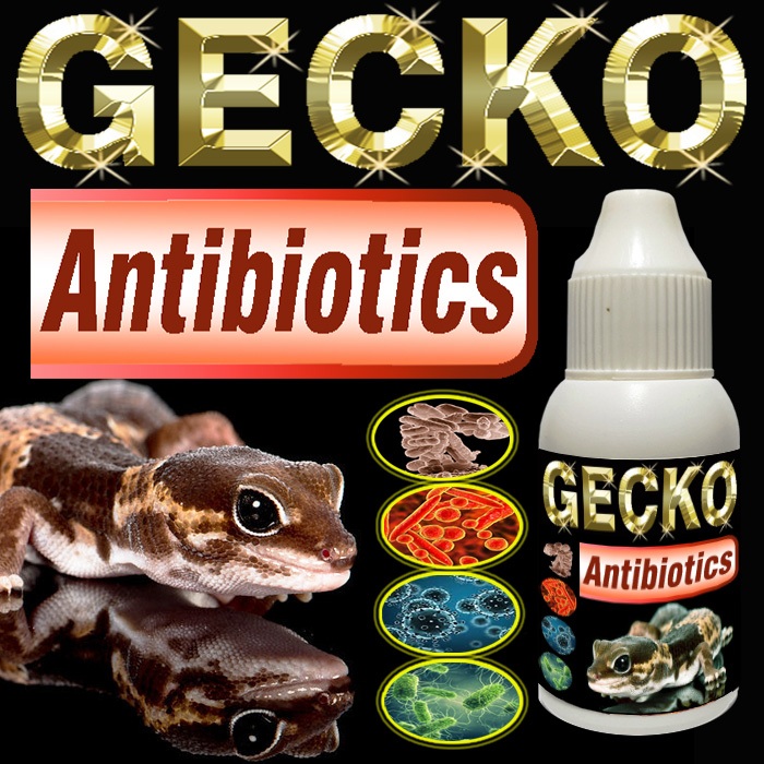 Jual GECKO ANTIBIOTICS VITAMIN OBAT PENYAKIT PERNAPASAN PNEUMONIA PILEK PADA HEWAN REPTILE