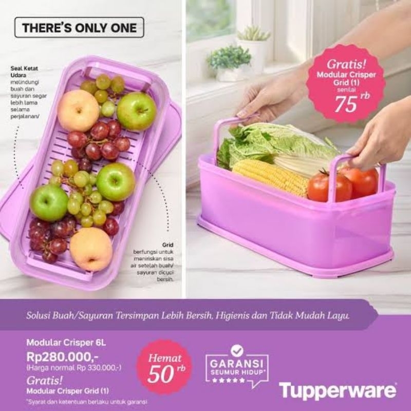 Jual MODULAR CRISPER WITH GRID TUPPERWARE | Shopee Indonesia