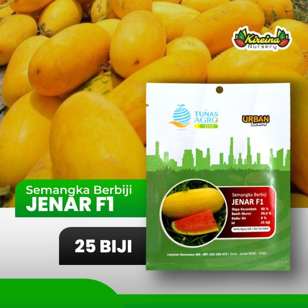 Jual Benih Semangka Berbiji Jenar F1 25 Tunas Agro Urban Farming ...