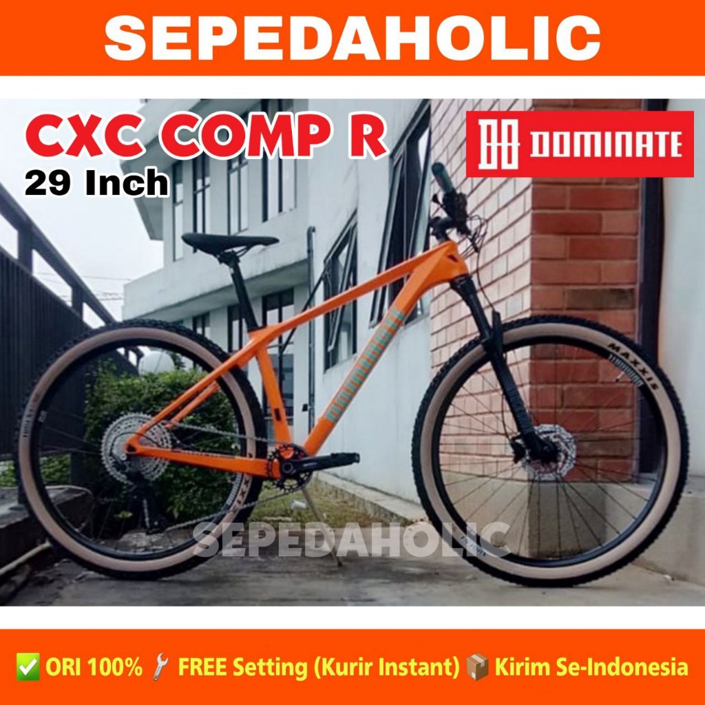 Jual Sepeda Gunung MTB DOMINATE CXC COMP R Ukuran 29 Inch Carbon