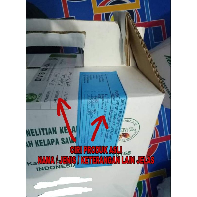 Jual Bibit kelapa sawit pelepah pendek marihat asli hybrit dxp ...