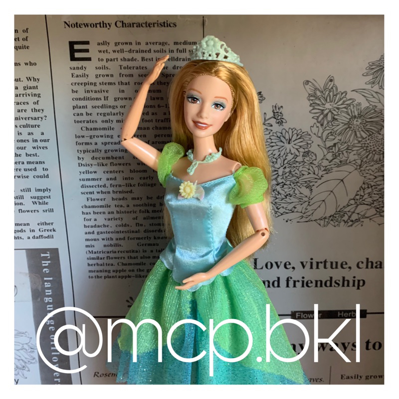 Jual Barbie Summer as Princess Delia From 12 Dancing Princesses Movie ...