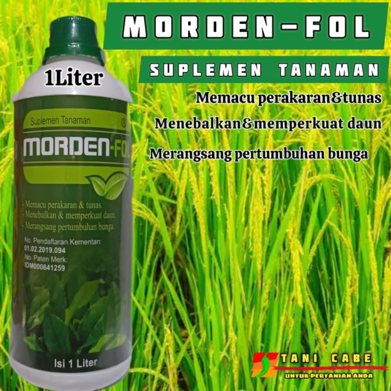 Jual Mordenfol 500 & 1 Liter ML Pupuk Cair Magnesium Pospat Morden Fol ...